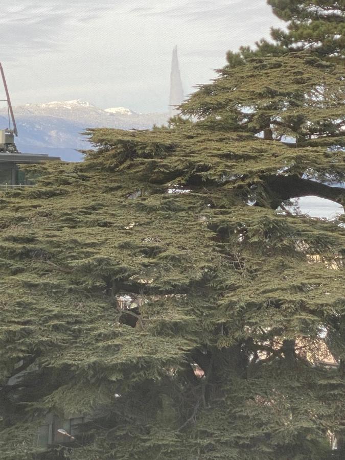 Geneve, Plein Centre,Belle Vue Lac, Splendide Et Grand Appartement ภายนอก รูปภาพ